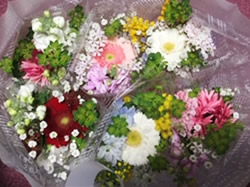 進級祝いにお花と手紙を贈りました